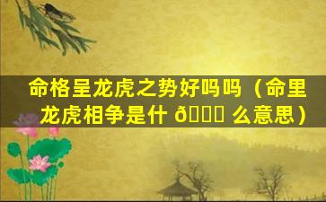 命格呈龙虎之势好吗吗（命里龙虎相争是什 🕊 么意思）
